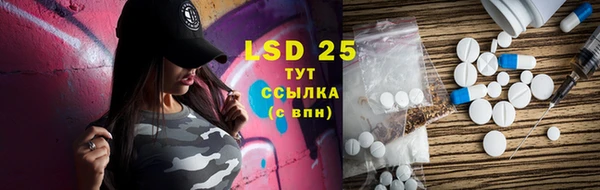 сатива Новодвинск