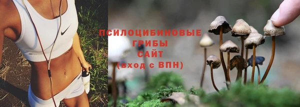 кокаин колумбия Новозыбков