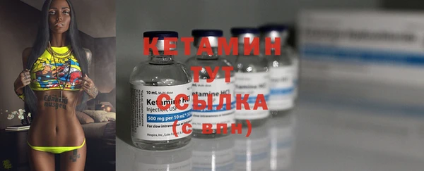 сатива Новодвинск