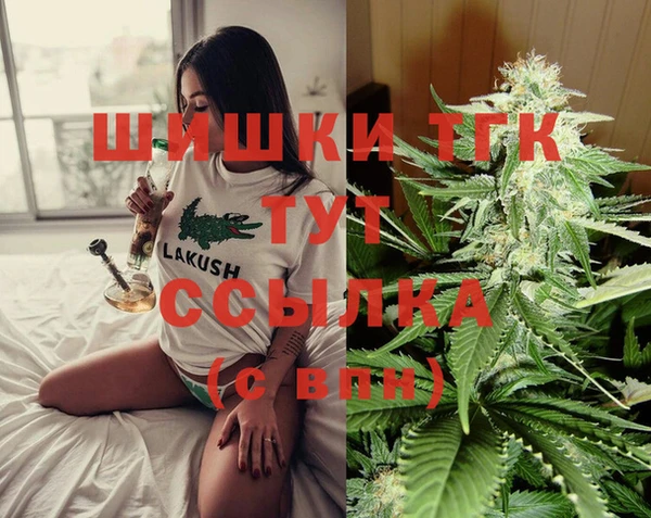 стаф Нефтегорск
