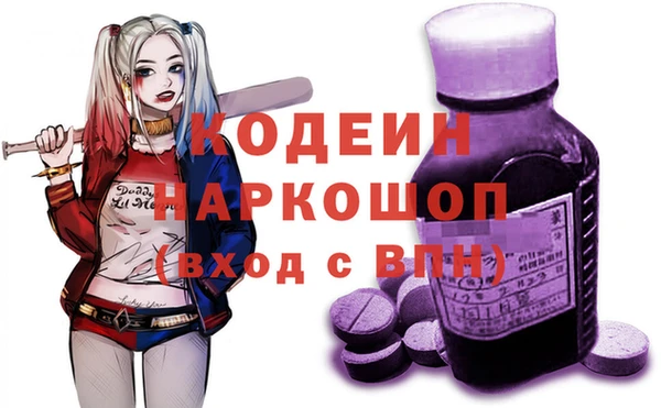 сатива Новодвинск