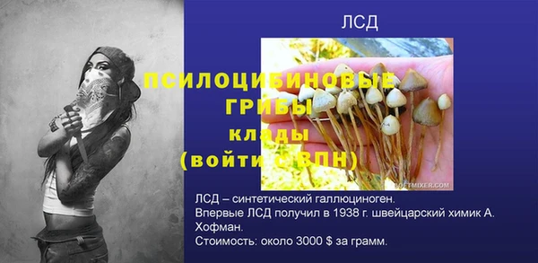 стаф Нефтегорск