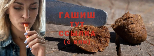 сатива Новодвинск
