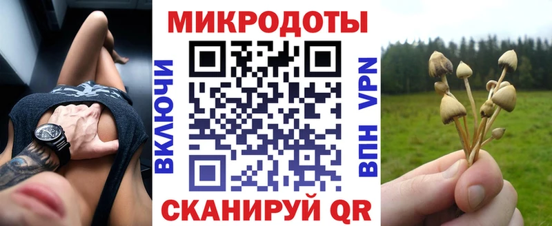 Галлюциногенные грибы Magic Shrooms купить Электроугли